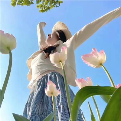 茶花村的幸福生活